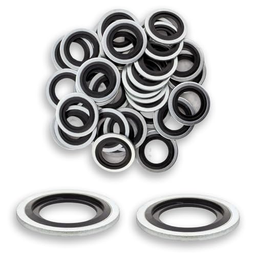 fKiZanthene Lot de Vingt Joints de Bouchon de Vidange, Joints Galvanisés Résistants à la Pression et à l’Huile, Kit de Joints Vidange pour Voiture –...