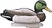 Higdon Outdoors Standard Mallard Duck Decoys | Ultra Realistic Drake & Hen Decoys for Waterfowl Hunting | 2 Resting Drakes 2 Upright Drakes & 2 Resting Hens | 6pk