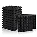 12 Pack Set Acoustic Foam Panels, Studio Wedge Tiles, 2" X 12" X 12" Acoustic Foam Sound Absorption Pyramid Studio Treatment Wall Panels