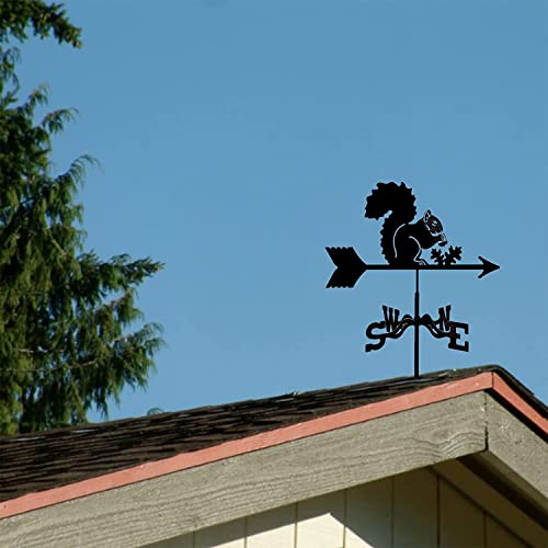 Girouette sur piquet indicateur direction vent toit jardin - 5