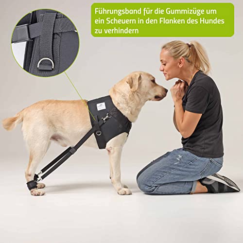 Nature Pet Hundeexpander & Rehageschirr für Hunde – Flexipander zur Rehabilitation, Mobilitätshilfe & sanften Unterstützung L