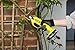 Ryobi RY18SCA-0 18V ONE+ Cordless Secateurs (Bare Tool), Black