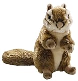 Ardilla de alta calidad en color marrón sombreado con un aspecto de corazón. Aquí tenemos una ardilla listada. Nombres en inglés: Chipmunk.