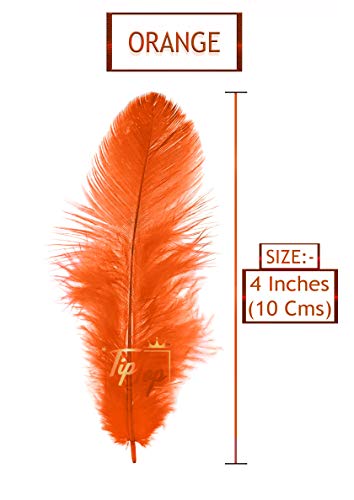 Image of Natural Dyed Feathers 10 cm (80 pieces) (Orange)