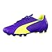 Produktbild PUMA Herren Evospeed 3.3 FG Fußballschuhe, Prism Violet-Yellow-Blue, 47 EU