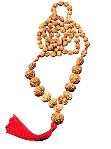 Rudraksha Siddha Mala 1-14 Mukhi Gauri Shankar Ganesh authentique collier 10-15mm