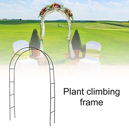 Pergola extérieure de mariage en métal et arche de fête