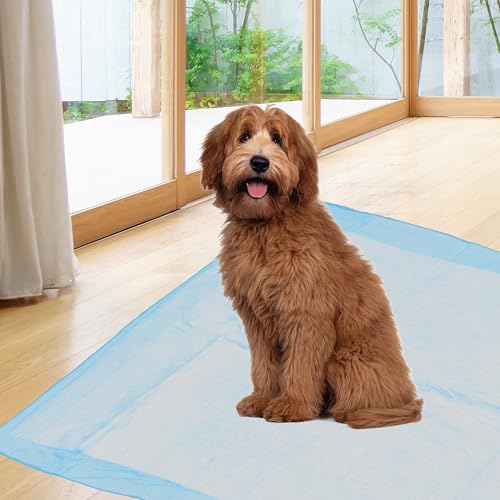 Image of Cudlie Training Pads for Dogs, 30 Count ,22 inchx22 inch| Puppy Pee Pads for Dogs | Absorbent Dog & Puppy Supplies for Dog Training and House Training