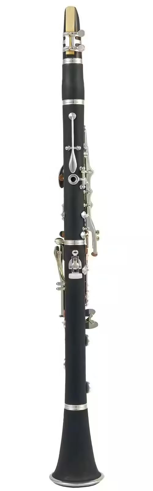 WOODBRASS WCL200 - Clarinete para principiantes (17 llaves, sistema Boehm Woodbrass, cuerpo ABS ligero, sonido claro, funda + accesorios incluidos, ideal para escuela y conservatorio)