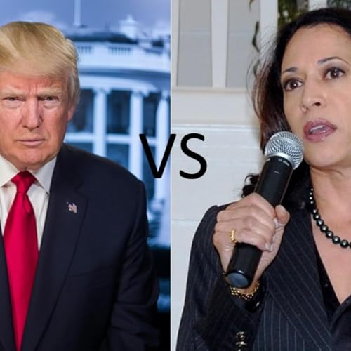 25 What Happens In The Stock Market If Trump Wins Or If Harris Wins?