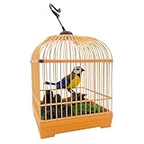 Juguete de pájaro parlante que canta y se mueve, juguetes interactivos para pájaros para niños, loro realista activado por voz eléctrico en jaula para escritorio de habitación, juguete de loro parlan