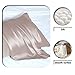 Silk Pillow Cases 2 Pack,Soft Breathable and Sliky Standard Size Pillow Cases Set of 2,Natural Mulberry Silk Pillowcase Set of 2 for Hair and Skin with Hidden Zipper (Lotus Root Pink,20