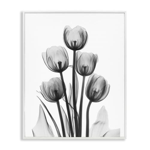 Abstract Tulip Silhouette Botanical, 11 x 14 Inch Framed Giclée Print