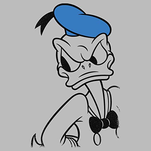 Disney Characters Tonal Line Donald Girl's Heather Crew Tee2