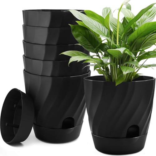 KAHEIGN 6 Piezas Macetas Autorriego para Plantas, 12CM Redondas Recipiente Grueso de Plástico para Suculentas Hierbas Orquídeas Menta Bonsáis Plantas - con Abrevadero Agujero, Drenaje y Plato (Negro)