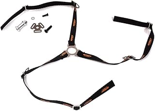 C32583GREY Realistic Spare Tire Straps w/Mount for Losi 1/10 Lasernut U4 4WD Brushless RTR