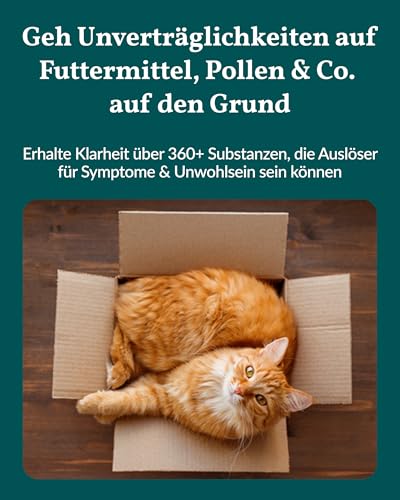 vetevo Allergietest Plus Katze, Unverträglichkeitstest Katze, bei Juckreiz & Niesen, 360+ Futtermittel Unverträglichkeiten, Gräser, Pollen & Co