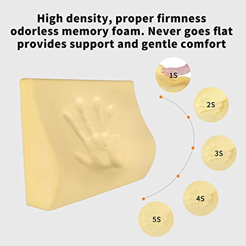 TISHIJIE Memory Foam Lumbar Support Pillow for Car - Mid/Lower Back Support Cushion for Car Seat (Beige)