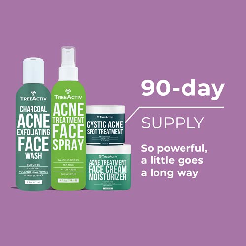 TreeActiv 4-Step Acne Treatment Kit | Sulfur Face Wash Exfoliant, Salicylic Acid Toner Spray, Tea Tree Zit Cream Facial Moisturizer, Bentonite Pimple Spot Clay + Bonus Blemish Patches | 90-Day Supply - Thumbnail 3