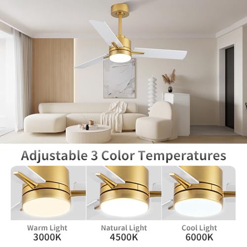 LANMEL 42 Inch Ceiling Fan with Light and Remote Control,Gold and Black-White Small Ceiling Fans with Lights,6-Speed Remote-Controlled Dimming,Silent Dc Motor,Suitable for Indoor/Outdoor by LANMEL - Image 2