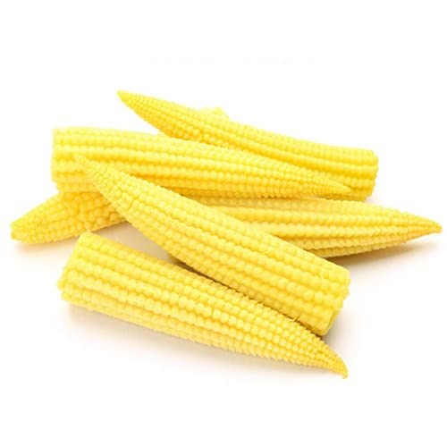 Vegetable Seeds | Baby Corn Seeds For Home Garden | Baby Corn Seeds For Farming | Baby Corn Plant | Sweet baby Corn Seeds pack of 20 seeds