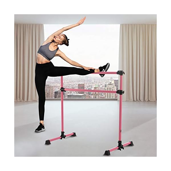ZELUS-4ft-Portable-Ballet-Barre-for-Home-Gym-Freestanding-Dance-Exercise-Equipment-for-Home-Workouts-Fitness-Flexibility-Training-with-Stretch-Band-and-Tote ZELUS Portable Ballet Barre for Home Gym | Freestanding Dance Exercise Equipment for Home Workouts Fitness Flexibility Training with Stretch Band and Tote (4ft, Pink)