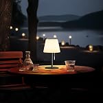 Gewiny Shower Lamp Battery Operated Outdoor Table Lamps Cordless Waterproof LED Dimmable Warm White and RGB Table Lamps Rechargeable Lamp Outdoor Lamps for Patio/Bathroom（Black）