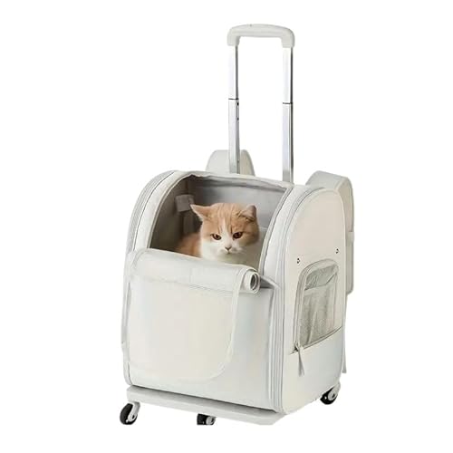 yBellechan ShopzybgL[ L[P[X LbgL[P[X gїp ܂肽 ybgg[P[X ϋviC sDz s AEghA (@zCg)