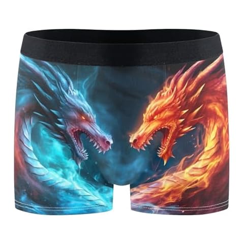 FULUHUAPIN Flame Dragon Men Boxer Briefs Men's Underwear Comfort Soft Boxer Briefs L 20323369 Cover