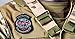 Resident Evil North America BSAA Logo Embroidered Hook Patch 4 Inches