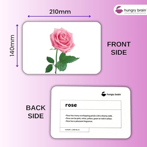 Image of Hungry Brain Flowers Baby Flash Cards 3 Months+ | Montessori Learning Cards for Toddlers | Early Brain Development Toy | Improve Vocabulary, Memory & Cognitive Skills | Educational Gift for Kids