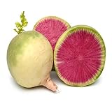 cetechondra