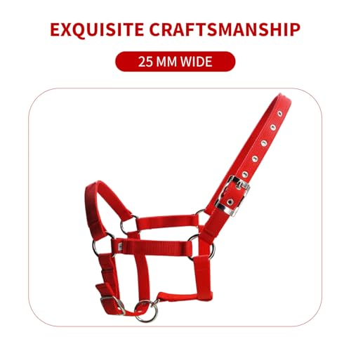 Cabestro para caballos ajustable de cuerda liviana con hebilla de metal 3