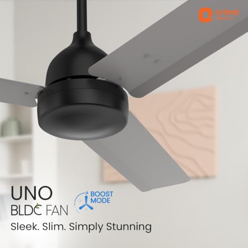 Image of Orient Electric 1200 mm Uno BLDC | BLDC energy saving ceiling fan with Remote |BEE 5-star rated | Saves up to 50% on electricity bills | 3-year warranty by Orient | Black & Grey