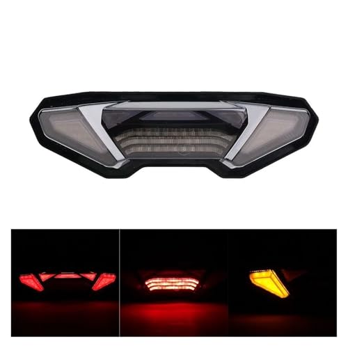 Lámpara trasera LED para Yamaha MT-09 que elimina intermitentes rotos 4