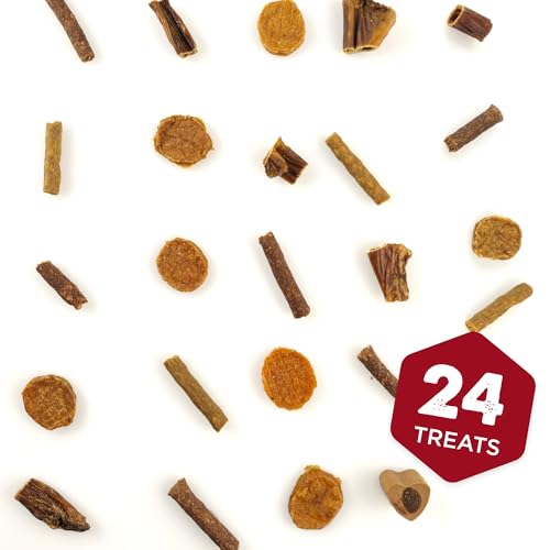 Best Bully Sticks 2024 Dog Advent Calendar With Dog Treats thumb #4