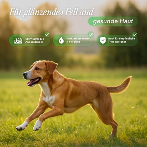 naturacbd Hanföl für Hunde mit Leinöl & Mariendistel | Natürliches Barf-Öl zur Unterstützung von Gelenken, Beweglichkeit, Verdauung & Vitalität | Bio-Öl für Haut & Fellpflege