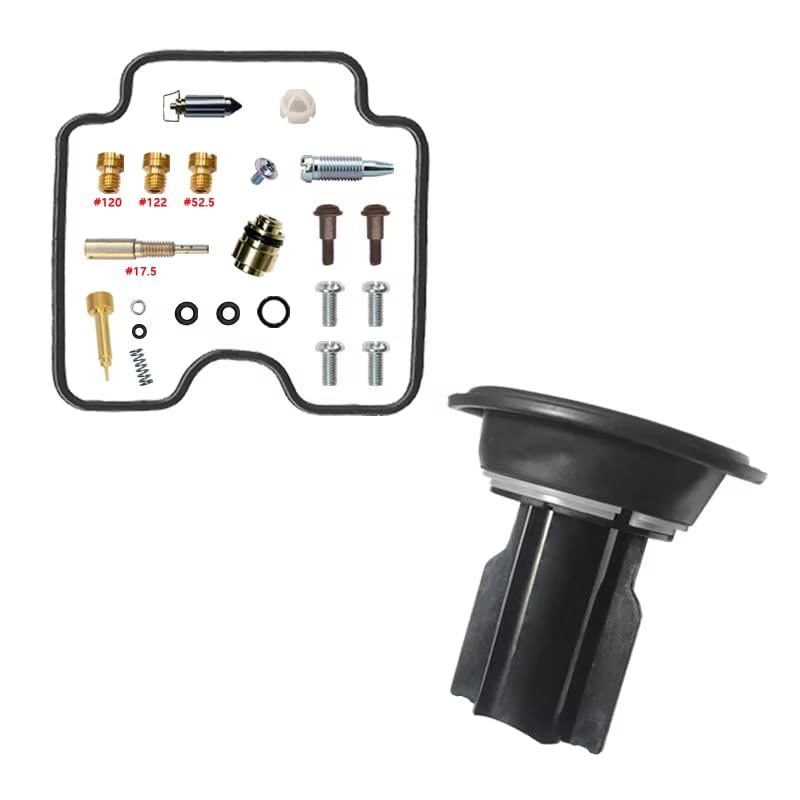 Kit de réparation de carburateur résout les fuites et ratés de votre GZ250