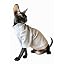 Grey Light Stripes