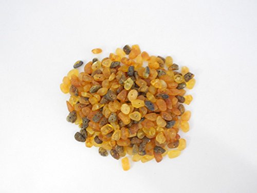 Wholesale Pack Of 100 Grams Natural Raw Baltic Amber 6Mm - 9Mm Drilled Loose Beads Multi Color Alluregem 08371 #TOP2