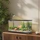 Crevyteg 18L Fischtank Aquarium mit LED-Leuchten & Filtersystem, Landschaftsbau Aquarium Starter-Set Rechteckiges Betta-Aquarium mit Deckel Kleines Aquarium für Heim Bürodekoration