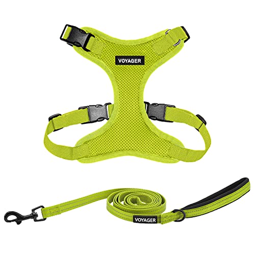 Image of Best Pet Supplies Voyager Step-in Lock Pet Harness w Reflective Pet Leash Combo Set with Neoprene Handle 5ft - Supports Small, Medium and Large Breed Puppies /Cats - Lime Green, XS