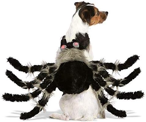Thrills & Chills Halloween Black & Grey Spider Pet Costume~X-Small~