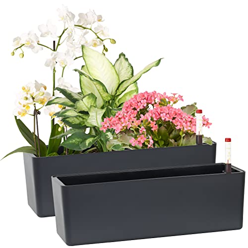 GardenBasix Elongated Self Watering Planter Pots 2-Pack Window Box 5.5 x 16 inch Indoor Home Garden Modern Decorative Pot for All House Plants Flowers Herbs (Dark Grey,2)