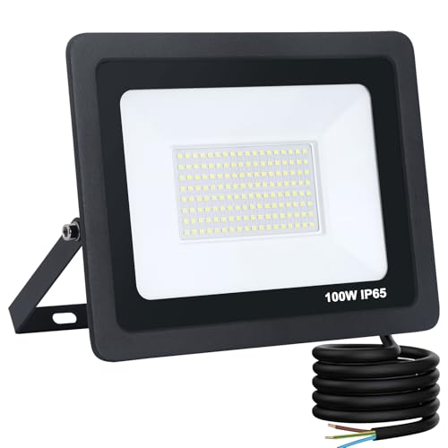 Mille Lucciole Faro LED Esterno 100W 10000LM 144 leds 6500K Bianco Freddo,Faretto LED da Esterno IP65 Impermeabile,Faretti Esterni adatto Giardino Terrazza Garage Patio【Guscio Nero】