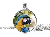 Death Devil Halskette mit Kunstbild-Anhänger, Papageien-Halskette, Papageien-Anhänger, Geschenk für Frauen, Papageien-Schmuck, Vogelschmuck, Geburtstagsgeschenk, Papageienliebhaber, Geschenk, bunte
