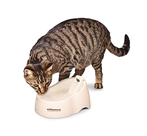 Petmate Deluxe Fresh Flow Cat, Bleached Linen, 50 Oz, 1 Count (Pack Of 1) #TOP1