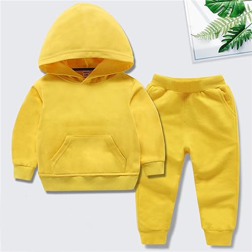 Girls Boys 2 Piece Tracksuit Sport Sweatsuits Sets Hooded Sweatshirt Jogger Sweatpants Clothing Sets for Kids2