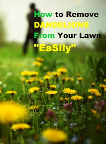 How to Remove DANDELIONS From Your Lawn EaSily