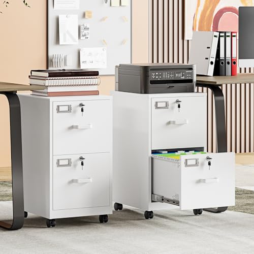 Image of MIIIKO 2 Drawer File Cabinet with Lock, Metal Vertical Filing Cabinets for Home Office, Lockable File Storage Cabinets Under Desk, A4 /Letter File Folders Storage-Assembly Required